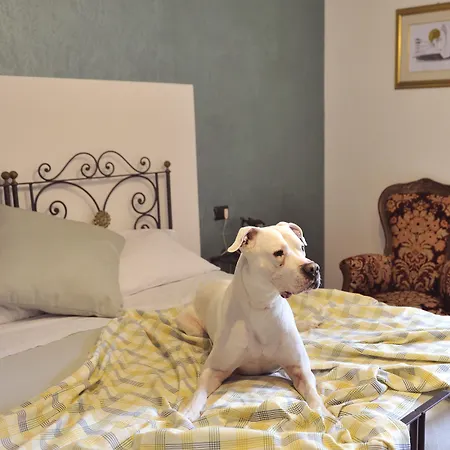 San Marco Hotel